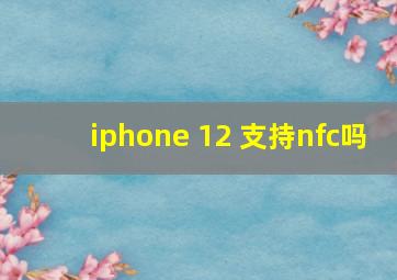 iphone 12 支持nfc吗